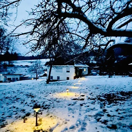 Holiday home Tiny 2 Am Rimbach In *