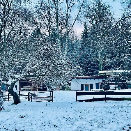 Tiny 2 Am Rimbach In Steinau an der Strasse