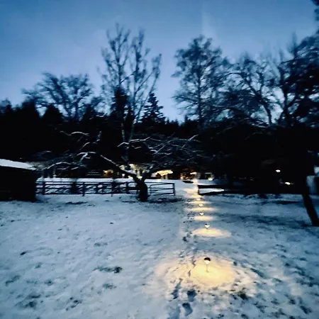 Tiny 2 Am Rimbach In Steinau an der Strasse