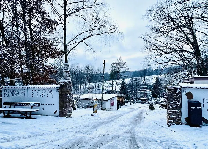Ferienhaus Tiny 2 Am Rimbach In *