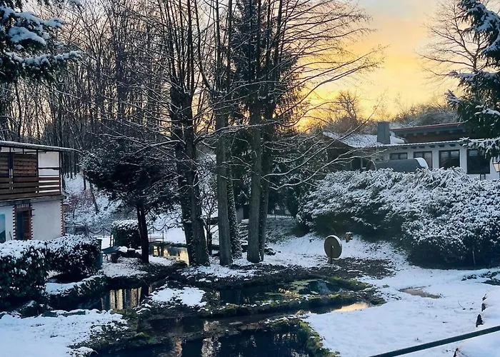 Ferienhaus Tiny 2 Am Rimbach In Steinau an der Straße