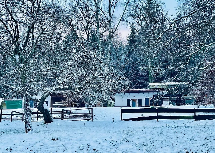 Tiny 2 Am Rimbach In Steinau an der Straße