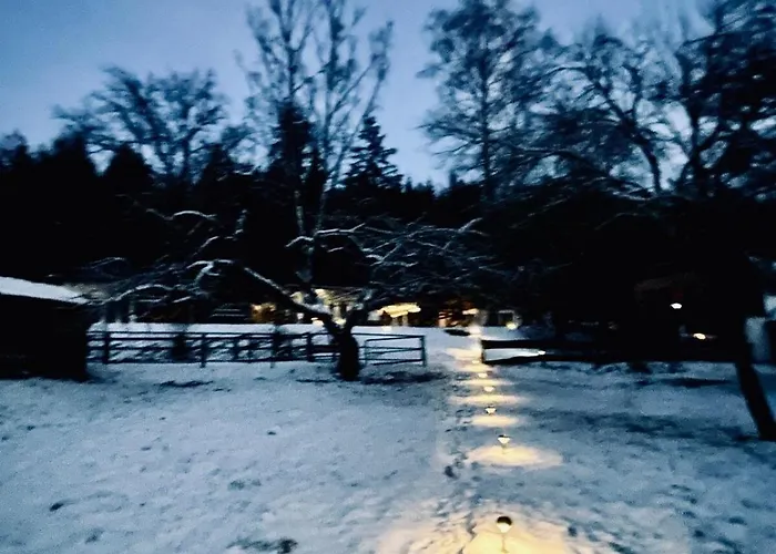 Tiny 2 Am Rimbach In Steinau an der Straße