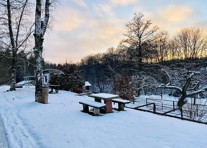 Ferienhaus Tiny 2 Am Rimbach In *
